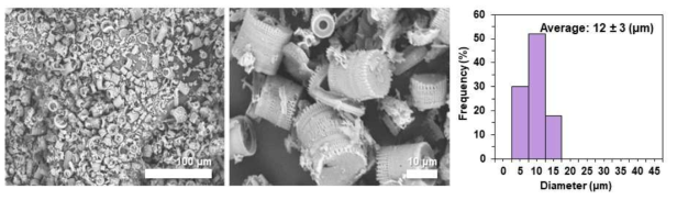 규조토의 SEM 이미지 및 입자크기분포