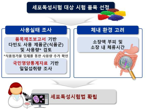 세포독성시험법 확립방법