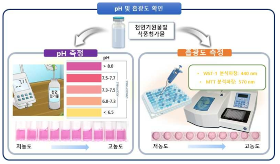 pH 및 세포성장 저해 시험 분석파장에서의 흡광도 확인