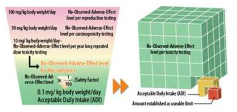 일일섭취허용량(ADI)의 설정