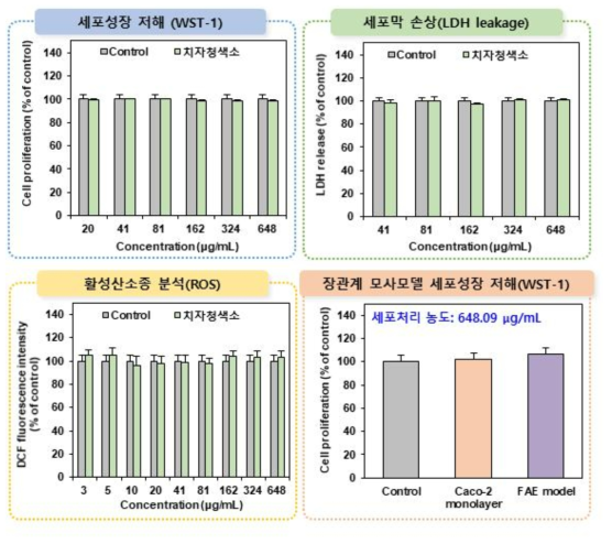 치자청색소의 세포독성시험 결과