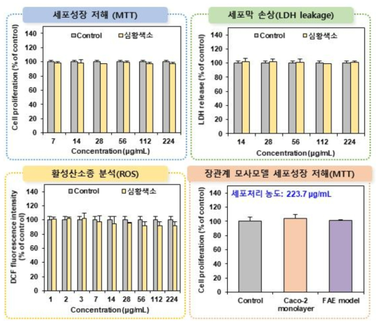 심황색소의 세포독성시험 결과