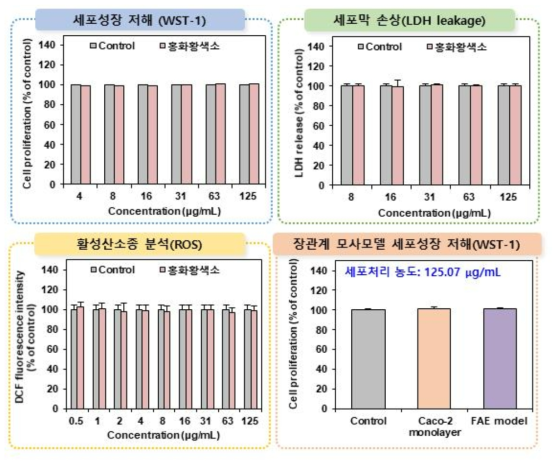 홍화황색소의 세포독성시험 결과