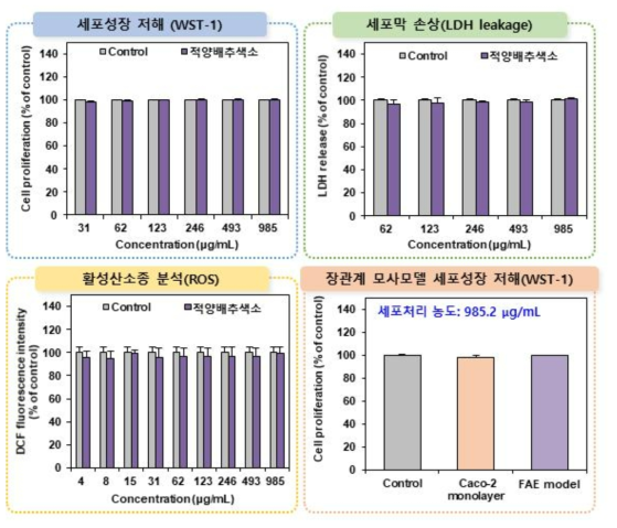 적양배추색소의 세포독성시험 결과