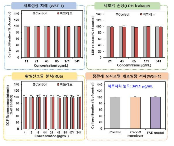 비트레드의 세포독성시험 결과