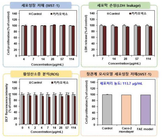 카카오색소의 세포독성시험 결과