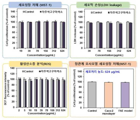 자주색고구마색소의 세포독성시험 결과