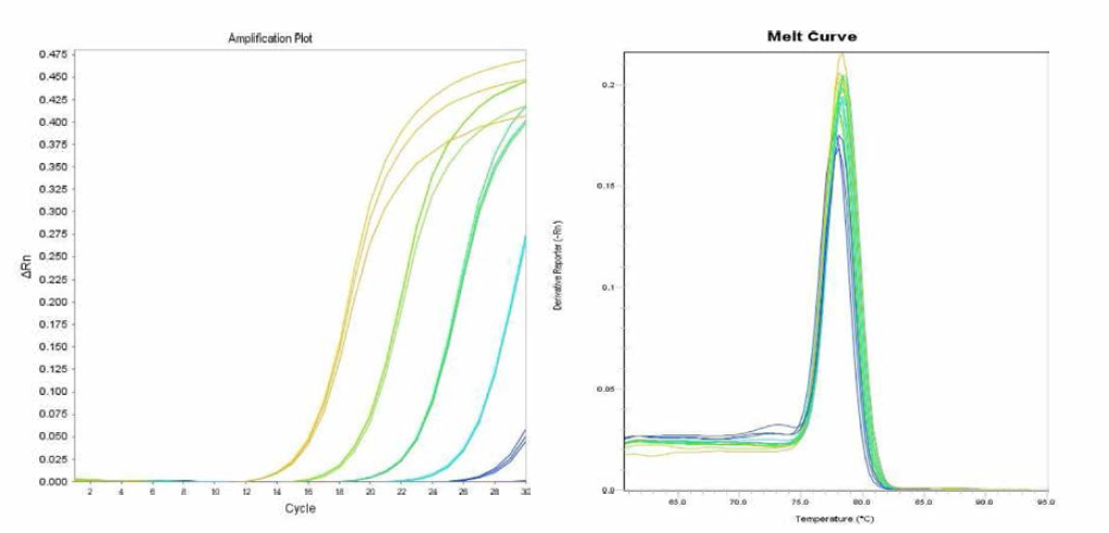 Dublin에 대한 amplification curve 결과