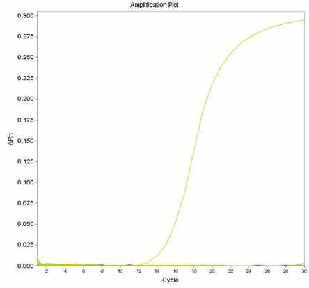 살모넬라 66종에 대한 Infantis 특이 primer의 real-time PCR 특이성 결과