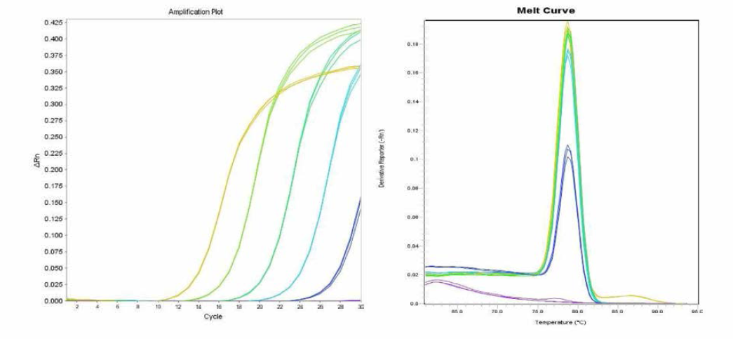 London 에 대한 amplification curve 결과