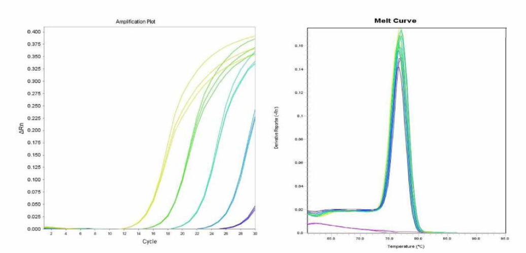 Manhattan 에 대한 amplification curve 결과