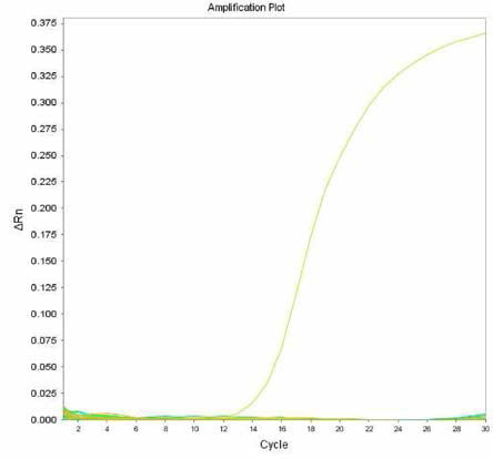 살모넬라 66종에 대한 Ohio 특이 primer의 real-time PCR 특이성 결과