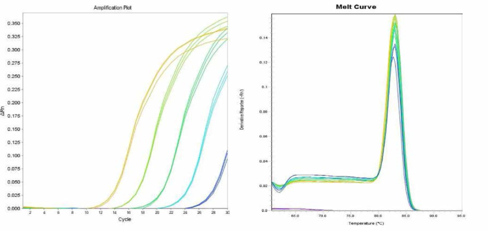 Ohio에 대한 amplification curve 결과