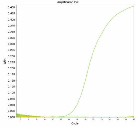 살모넬라 66종에 대한 Typhi 특이 primer의 real-time PCR 특이성 결과