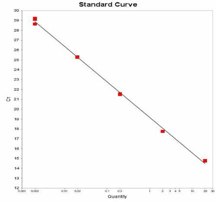 Typhi 에 대한 standard curve 결과