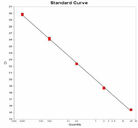 Kentucky 에 대한 standard curve 결과