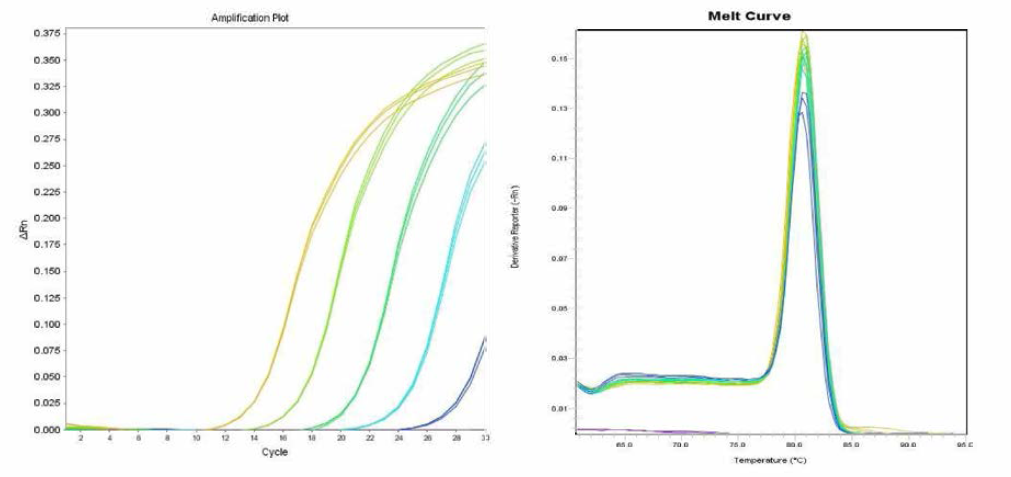 Meleagridis 에 대한 amplification curve 결과