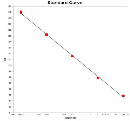 Meleagridis 에 대한 standard curve 결과