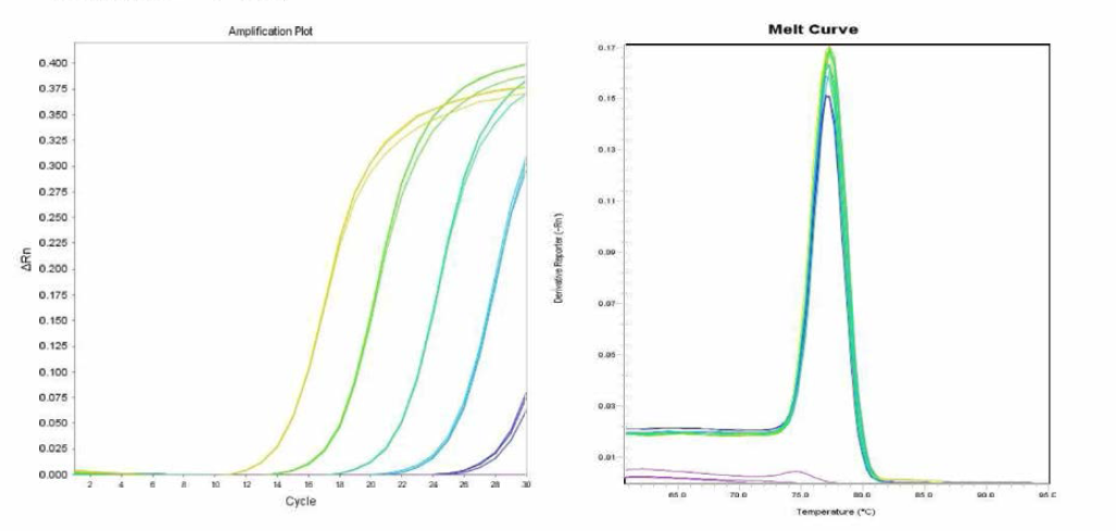 Mississippi에 대한 amplification curve 결과