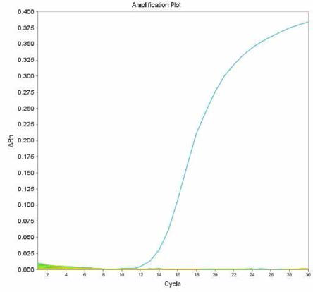 살모넬라 66종에 대한 Muenster 특이 primer의 real-time PCR 특이성 결과