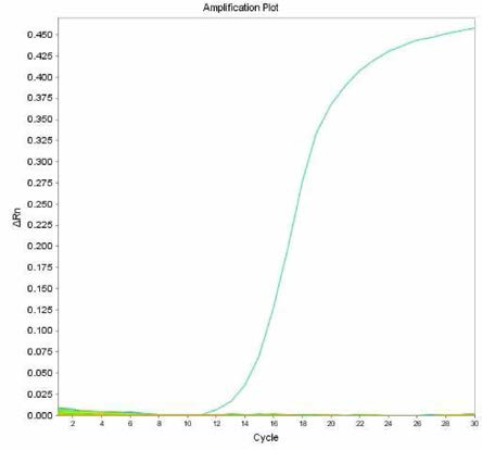 살모넬라 66종에 대한 Reading 특이 primer의 real-time PCR 특이성 결과