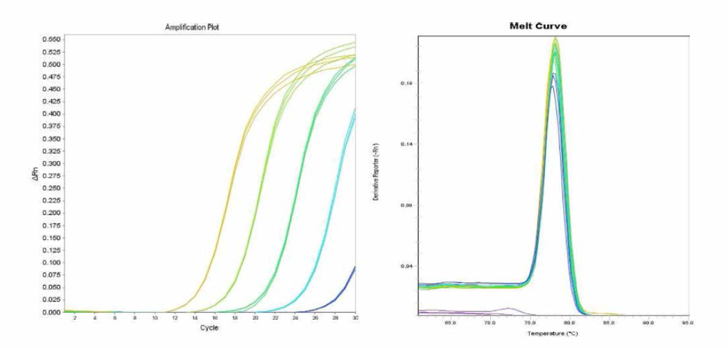 Reading 에 대한 amplification curve 결과