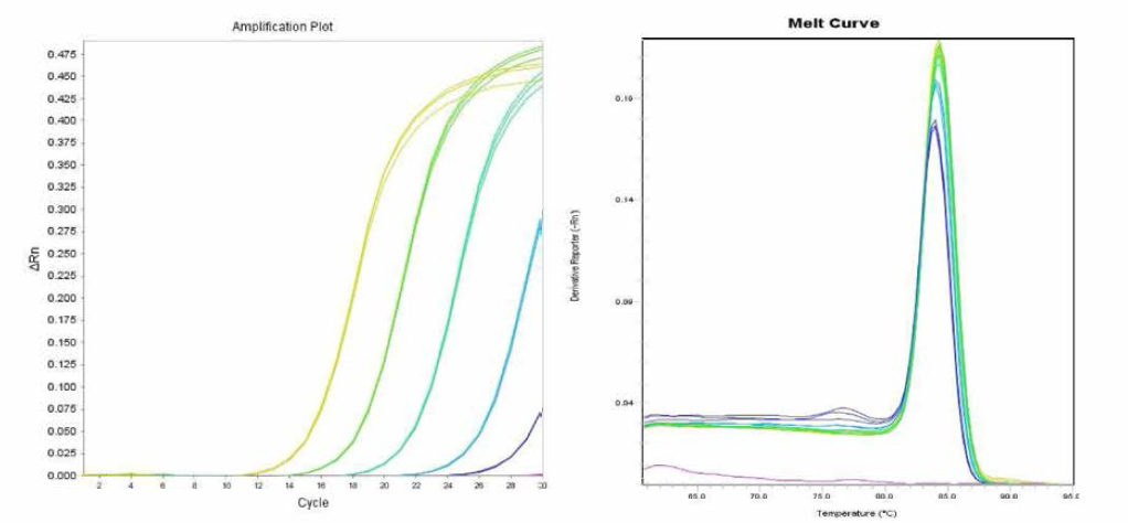 Senftenberg 에 대한 amplification curve 결과