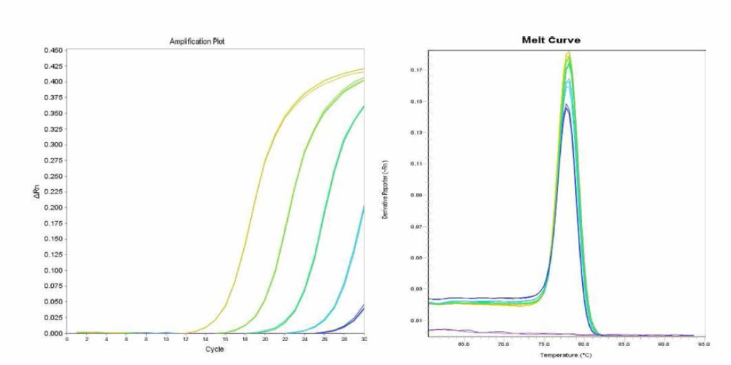 Aberdeen 에 대한 amplification curve 결과