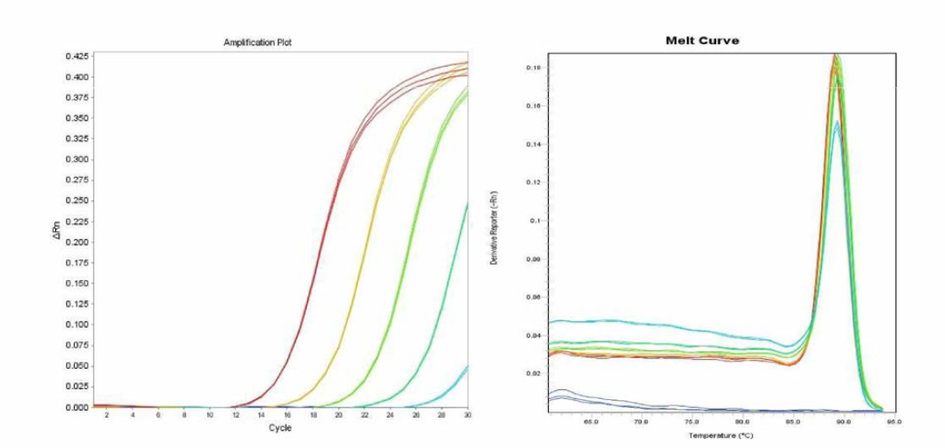 Elisabethville에 대한 amplification curve 결과