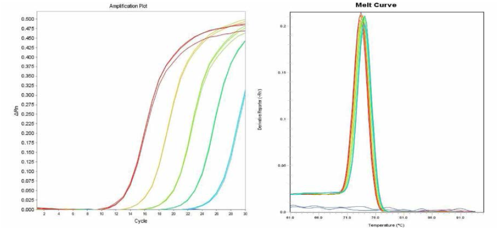 Hadar에 대한 amplification curve 결과