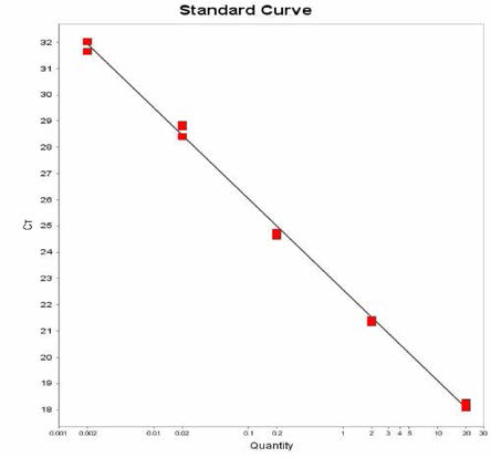 Kottbus 에 대한 standard curve 결과