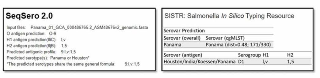 SeqSero2와 SISTR를 이용한 in silico 살모넬라 혈청형 분석 결과 예시