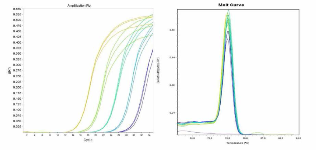 Albany 에 대한 amplification curve 결과