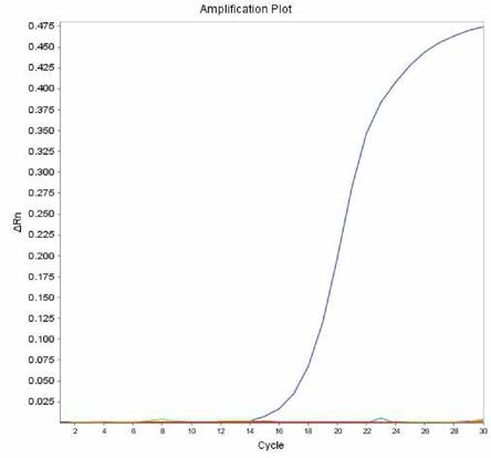 살모넬라 66종에 대한 Corvallis 특이 primer의 real-time PCR 특이성 결과