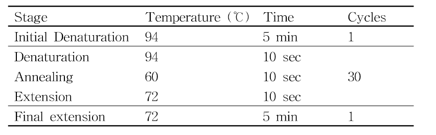 Conventional PCR 조건