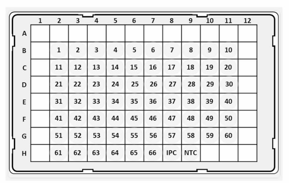 Real-Time PCR을 이용하여 특이성을 확인하기 위한 96 well plate 1，Aberdeen； 2，Agona； 3，Albany； 4，Anatum； 5，Bardo； 6，Bareilly； 7，Berta； 8，Blockley； 9，Bovismorbificans； 10，Braenderup； 11，Brandenburg； 12，Cerro； 13，Choleraesuis； 14， Corvallis； 15，Derby； 16，Dublin； 17，Elisabethville； 18，Enteritidis； 19，Gallinarum； 20， Give； 21，Hadar； 22, Heidelberg； 23，Hindmarsh； 24，I 4，[5]，12:i:—; 25，Inf antis； 26，Javiana； 27，Kedougou； 28，Kentucky； 29，Kottbus； 30，Litchfield； 31，Livingstone； 32，London； 33, Madelia； 34，Manhattan； 35，Mbandaka； 36，Meleagridis； 37，Menston； 38，Minnesota； 39, Mississippi； 40，Montevideo； 41，Muenchen； 42，Muenster； 43，Newington； 44，Newport； 45，Ohio； 46，Oranienburg； 47，Panama； 48，Paratyphi A； 49，Paratyphi B； 50，Paratyphi C； 51，Poona； 52，Reading； 53，Rissen； 54，Saintpaul； 55，Schwarzengrund； 56， Senftenberg； 57，Singapore； 58，Stanley； 59，Tennessee； 60，Thompson； 61，Typhi； 62， Typhimurium； 63，Uganda； 64，Vinohrady； 65，Virchow； 66，Weltevreden； IPC，internal positive control； NTC，non-template control