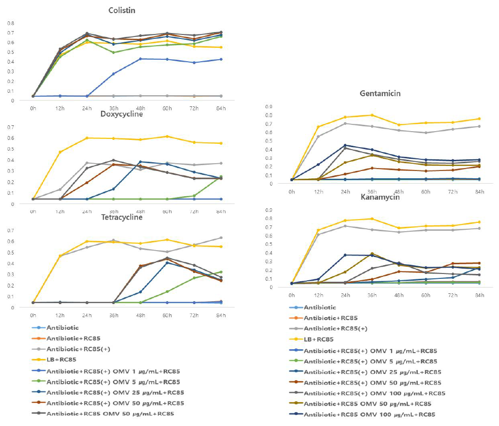 OMVs from RC85 and RC85+ can protect susceptible Escherichia coli in the presence of antibiotics above of MIC