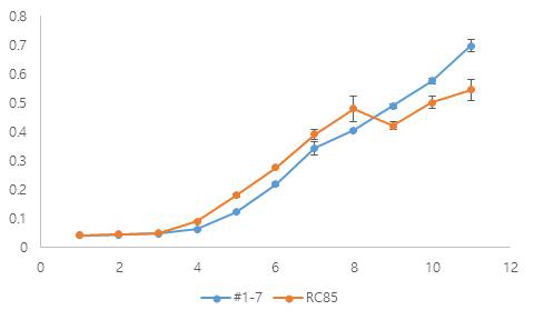 Parent strain과 transformant의 growth curve