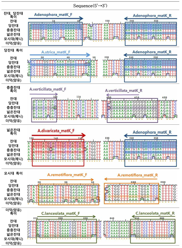 잔대, 당잔대(정품), 층층잔대, 넓은잔대, 모시대, 더덕(위품)에 대한 종 특이 프라이머 디자인