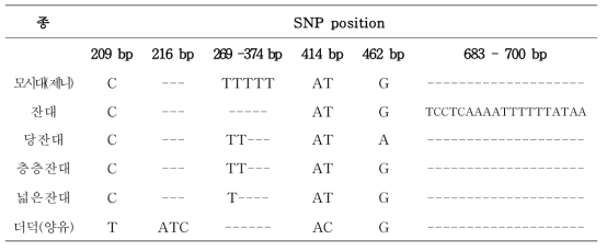 제니 및 위품의 atpB-rbcL 구간 염기서열의 변이(variable site)