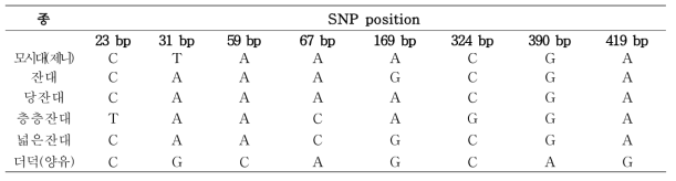 제니 및 위품의 rpoC1 구간 염기서열의 변이(variable site)