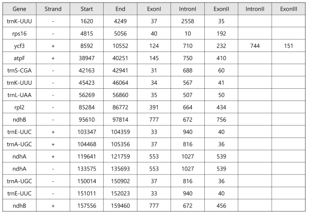 더덕 유전자의 introns 및 exons 분포