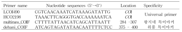 본 연구에 사용된 오공 특이 프라이머