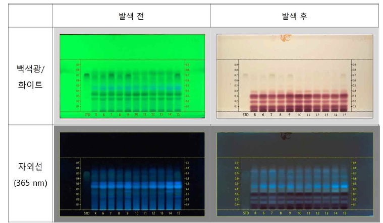 오공의 HPTLC 분석 결과. 표준품(Jineol)과 비교하였을 때 명확한 감별접이 확인되지 않음. STD; Jineol(표준품), R; 오공 표준생약, 6~15; 오공 검체