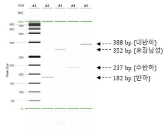 자동전기영동장치를 활용하여 반하 등 4종 확인