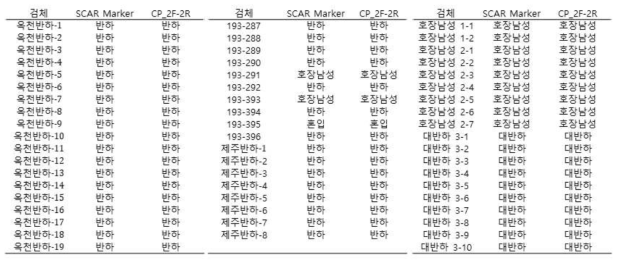 수집한 검체에 대한 SCAR-marker와 신규개발마커 결과 비교. 옥천반하 : 옥천국가생약 자원관리센터 검체; 193-287~396 : 유통품; 제주반하, 호장남성 : 중앙대 분양 검체; 대반하: 국립생태원 분양 검체