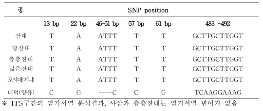 사삼 및 위품의 ITS 구간 염기서열의 변이(variable site)