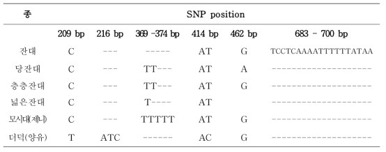 사삼 및 위품의 atpB-rbcL 구간 염기서열의 변이(variable site)