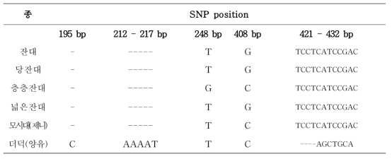 사삼 및 위품의 atpF-atpH 구간 염기서열의 변이(variable site)