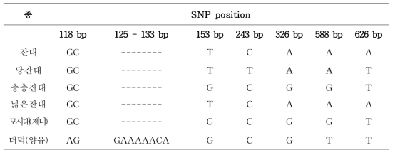 사삼 및 위품의 rpl16 구간 염기서열의 변이(variable site)